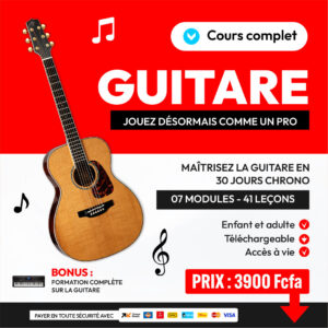 MAITRISER LA GUITAR COMME UN PRO
