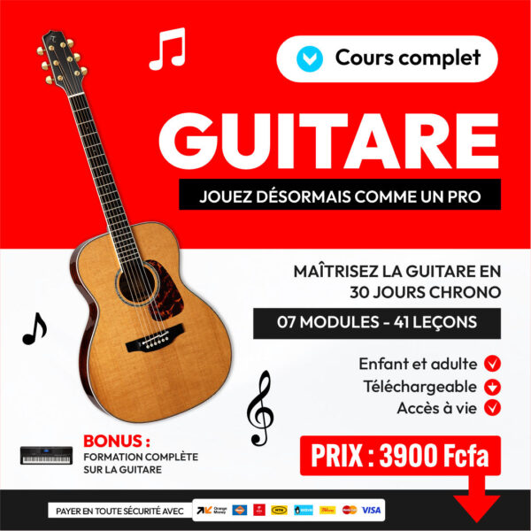 MAITRISER LA GUITAR COMME UN PRO